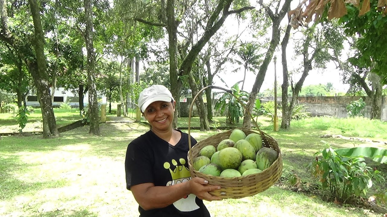 DOCE DE CORTE DE MANGA