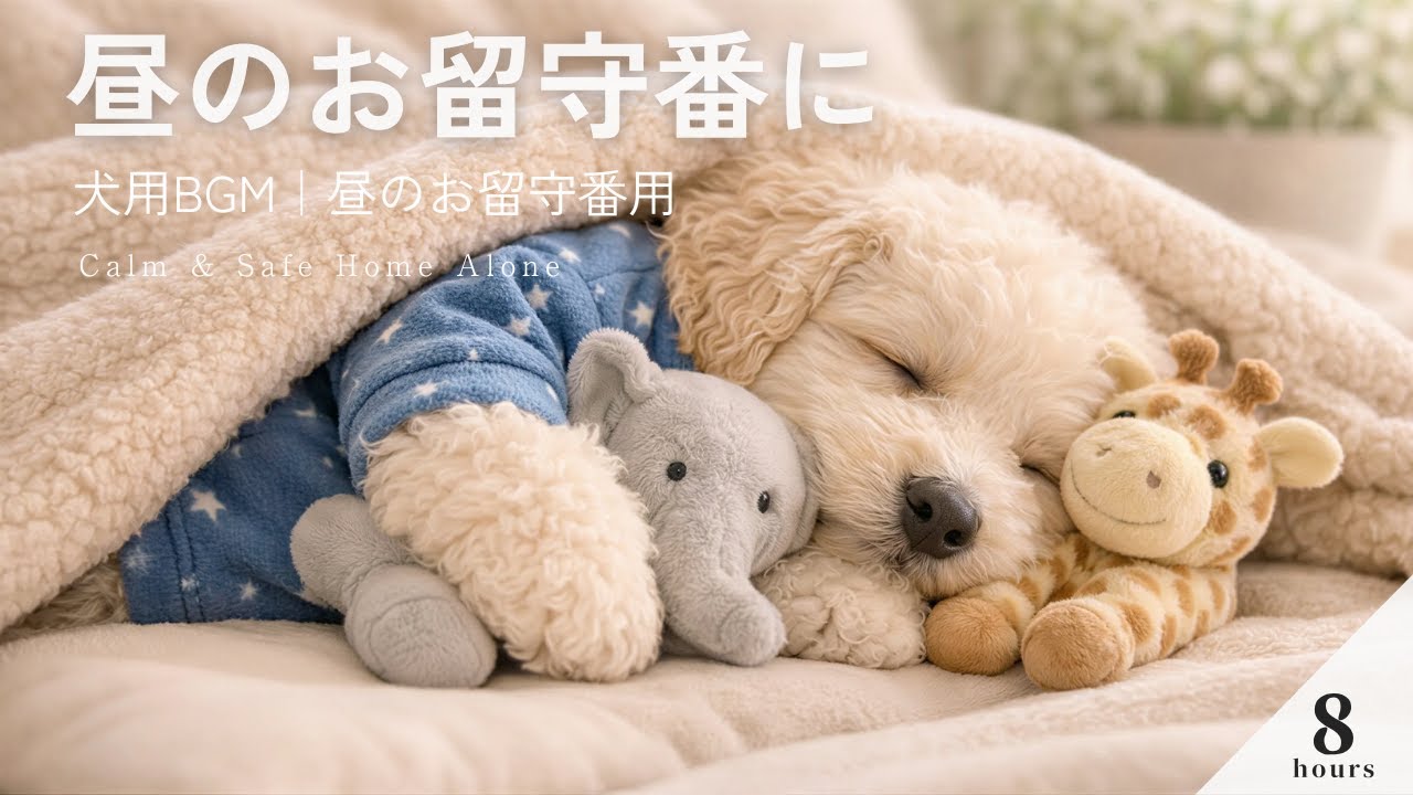 お留守番の不安に｜犬用BGM 分離不安・昼の安心時間｜8時間｜Dog Music for Separation Anxiety｜Steady Daytime｜8 Hours