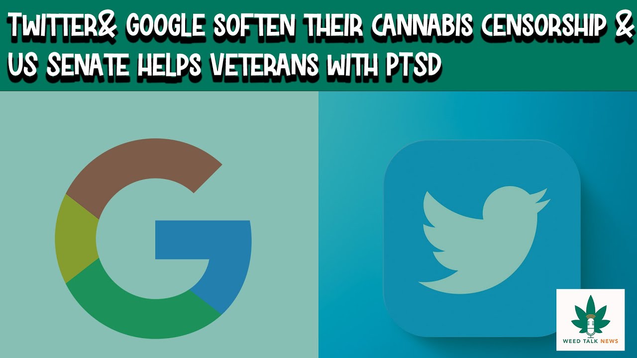 Twitter& Google soften their cannabis censorship & US Senate helps Veterans with PTSD