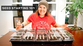 BASIC SEED STARTING: How to start tomato and pepper seeds indoors in Canada. Urban homesteading.