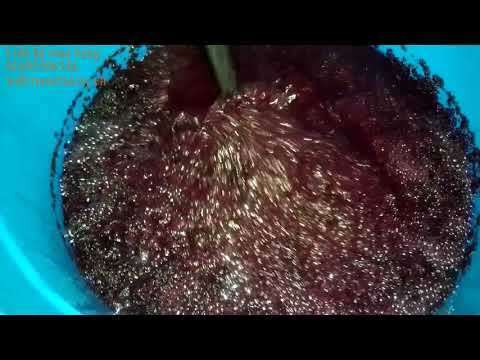 Video Hướng dẫn cách làm rượu vang từ trái Dâu tằm chi tiết... - youtube