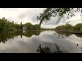 Forest Lake | Nature Relaxation Water Sounds | Peaceful Lake Sounds | 4K Video