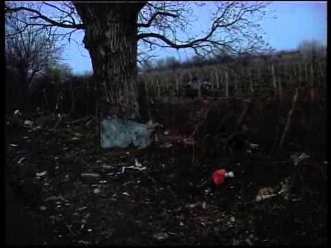 ავტოსაგზაო შემთხვევის შედეგად 4 ადამიანი დაშავდა