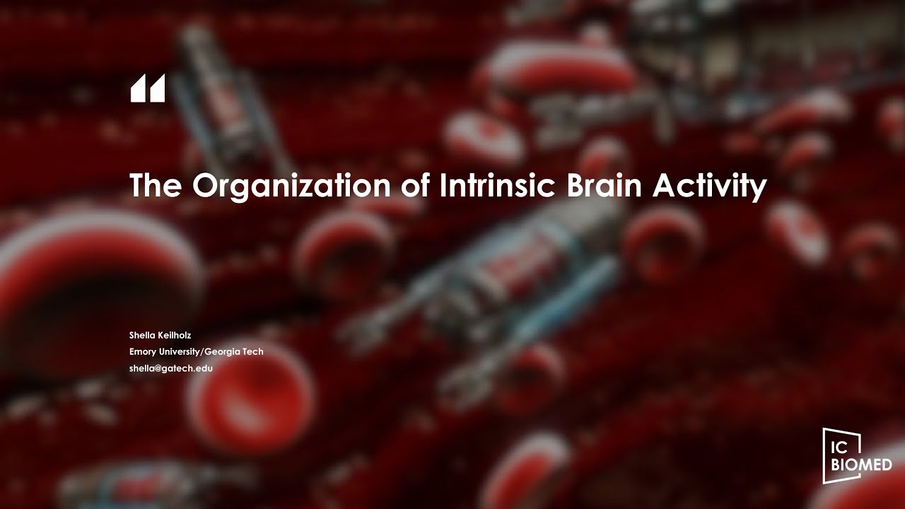 ICBioMed 2022 The Organization Of Intrinsic Brain Activity By Prof 