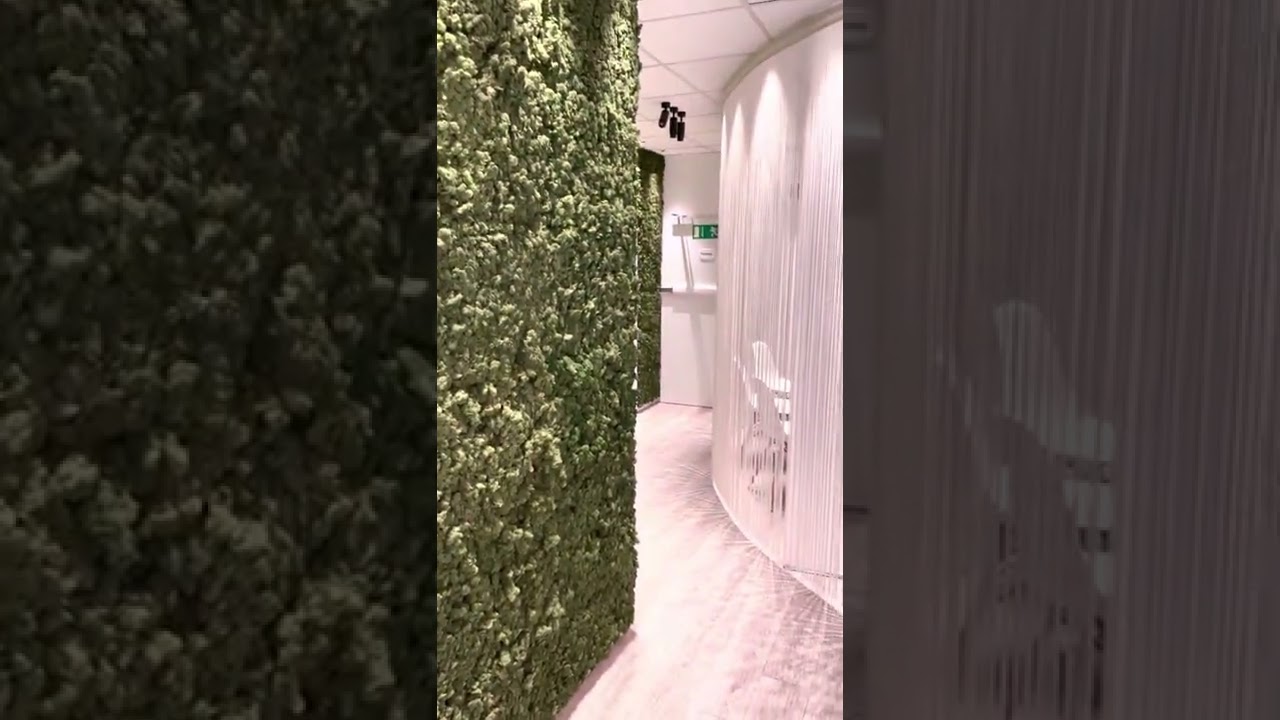 Lichtdesign, Lichtplanung und Beleuchtung von "www.ibo-beleuchtung.de“