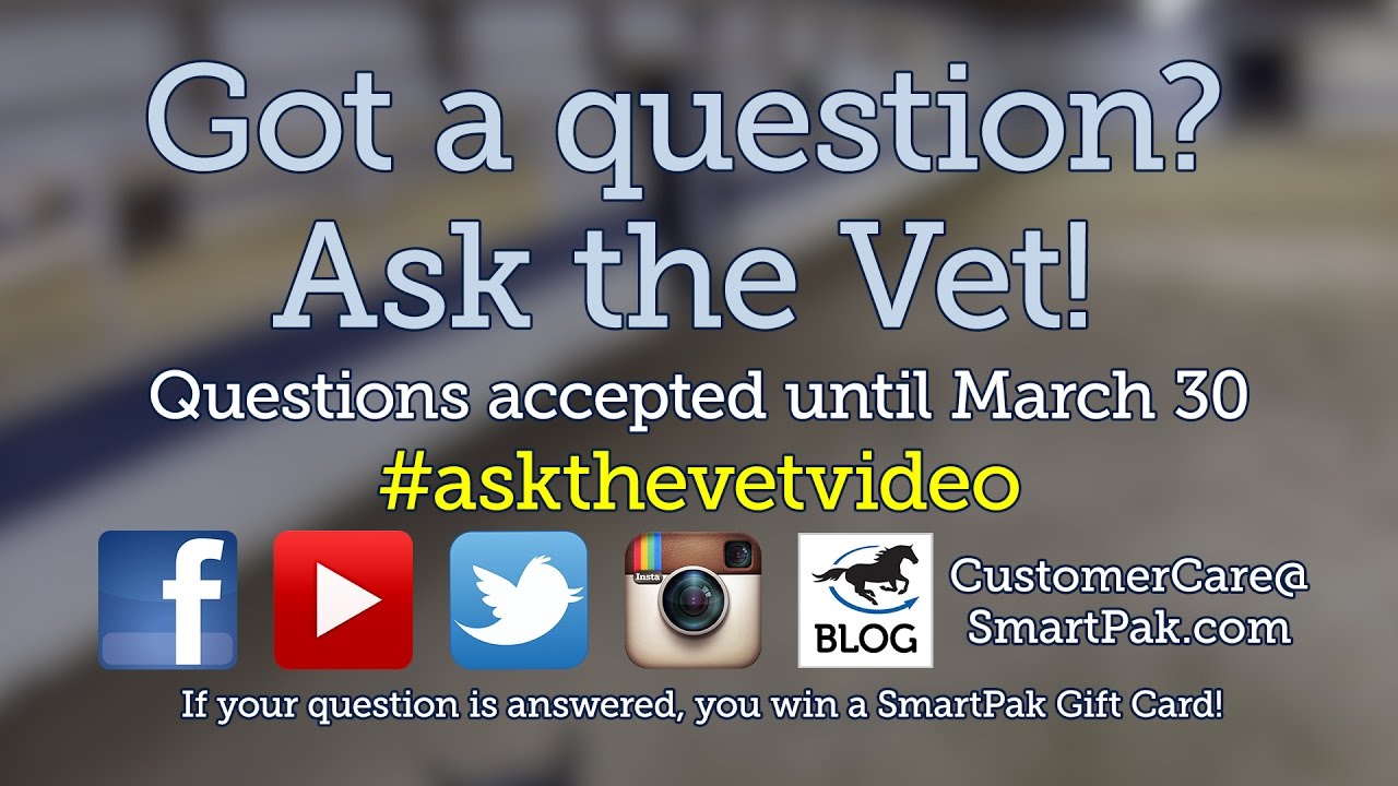 Ask your horse health questions for our May 2017 AsktheVetvideo! YouTube