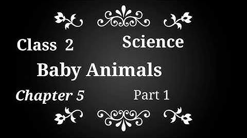 Baby Animals || Class 2 || Science || Chapter 5 || Part 1 || Target 95+ Series ||