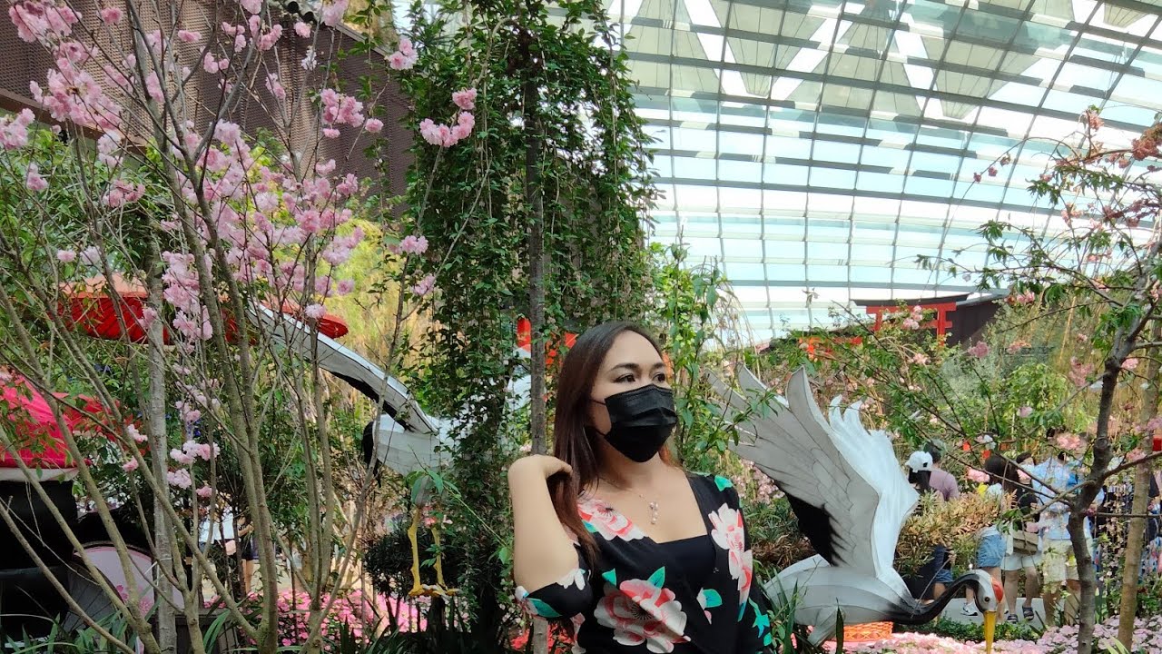 SAKURA, FLOWERS AT FLOWER DOME
GARDEN BY THE BAY