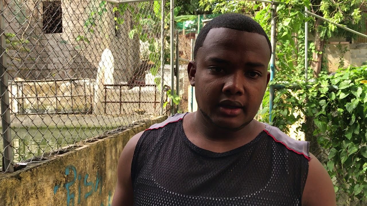 ahuevar una colonia de betta hembras y tambien monstruos marinos - YouTube