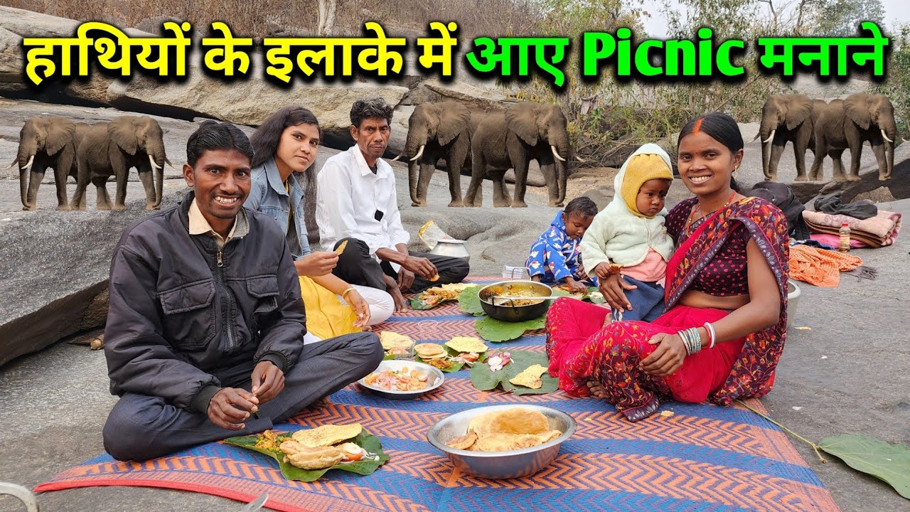 हाथियों के इलाके में आ गए Picnic मनाने | New Year Party Celebration Vlog 2023