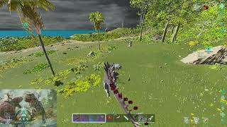 Mini raid ark. Кибитку то зарейдил, но она оказалась пустой. Играю на сервере Elite Ark 3man NoTek