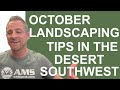 October landscaping tips for the desert southwest   amslandscaping