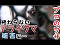 日々のあぶく【終わらない…アライグマの襲来】~再びアライグマに襲われました。大きな個体を駆除し、屋根を修理したことでホッとしていたのですが、日中、近くに自分がいる時の数分の出来事でした。