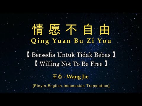 Xin Tong - Wang Jie karaoke 心痛 - 王杰