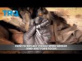 How to Replace Vehicle Speed Sensor 2000-2007 Ford Focus