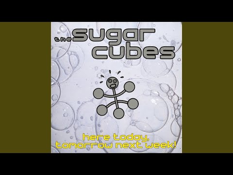 The Sugarcubes — Speed Is The Key