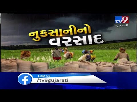 Incessant rain destroyed cotton and groundnuts crops in Saurashtra | Tv9GujaratiNews