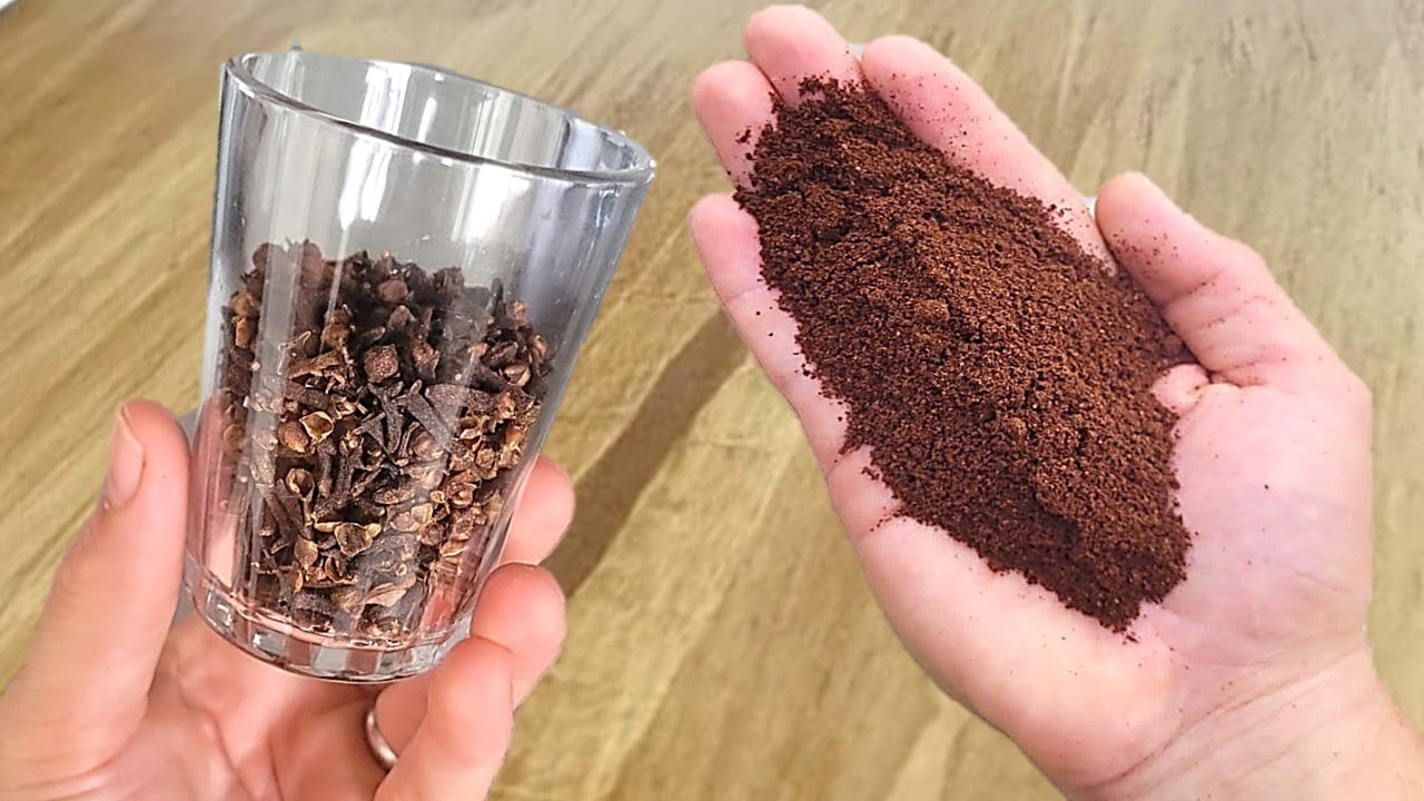 É só misturar PÓ de CAFÉ no CRAVO da ÍNDIA e não precisa mais gastar no mercado!!