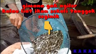 Download lagu Jermal Ikan Di Sungai Kapuas mp3