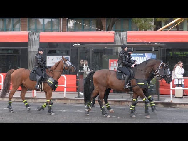 6.10.2025 | Stalo sa