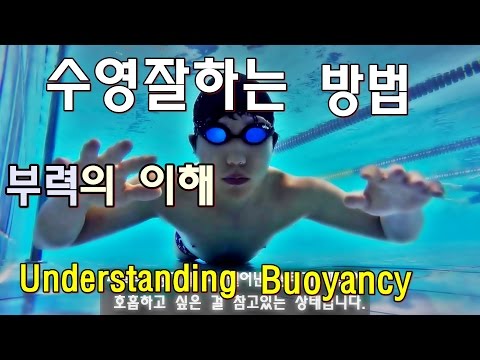 (ENG) 부력의 이해 / How to swim well /생존수영 / 수영강습 [ 뉴욕 수영코치 New York Swim Coach ]