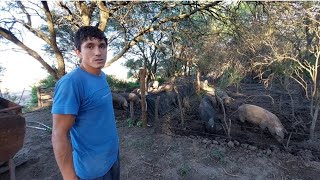 Así es la VIDA en una COLONIA RURAL/ TRADICIÓN, trabajo duro y ASADO/Colonia 