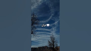 قرآن كريم 🍃 #اكسبلور #المصحف #الرحمن #قرآن #راحة_نفسية