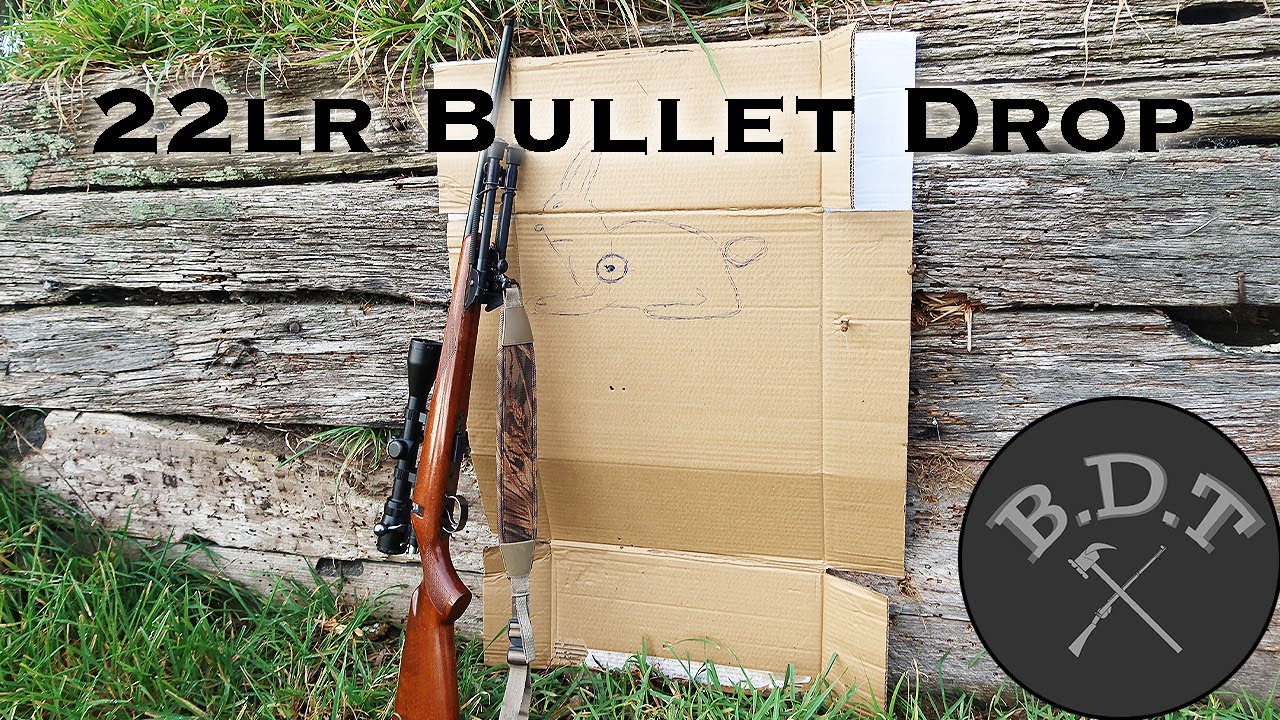 How much does a 22lr drop??? YouTube
