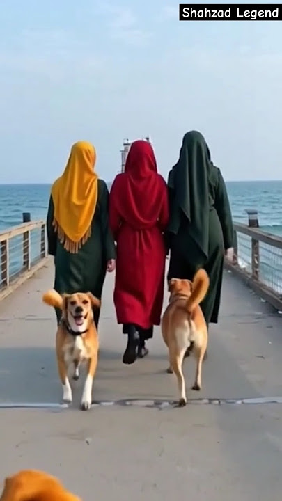 3 Muslim Hijab Girls & 3 dogs #hijab #shorts #muslim