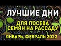 ЛУННЫЙ ПОСЕВНОЙ КАЛЕНДАРЬ январь-февраль 2022. Когда сеять на рассаду - лучшие дни!