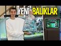 Akvaryumu Ultra Teknolojik Yaptım, Balık ve Karides Aldım!