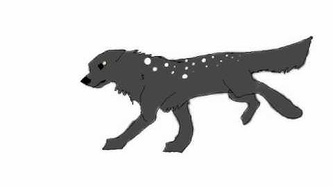 New Wolf run cycle ( Best run cycle so far )