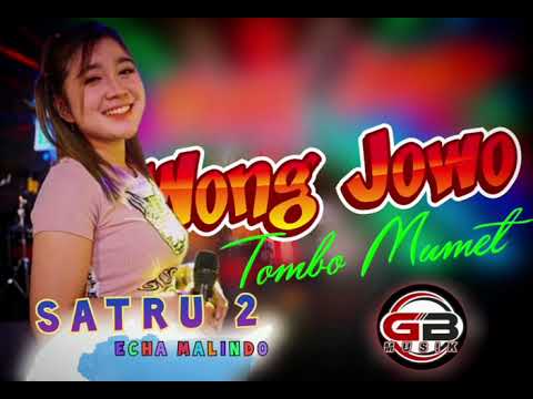 SATRU 2 // ECHA MALINDO // WONG JOWO MUSIC//GB AUDIO