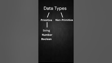 Data Types In Javascript |#javascript #coding |
