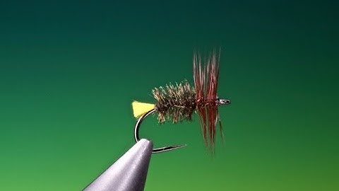 Fly Tying the Treacle Parkin dry fly with Barry Ord Clarke