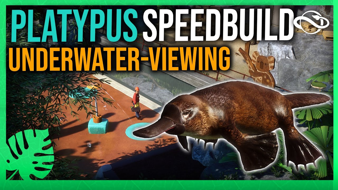 🇦🇺 Platypus Exhibit w/ UNDERWATER VIEWING! Zoo Speedbuild