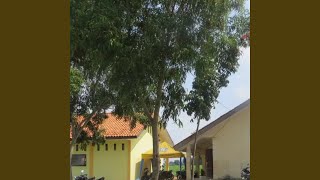 Download Lagu Mars SMKN 1 Arahan