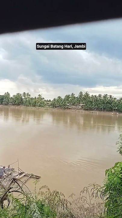 Sungai Batang Hari #batanghari #jambi #sungaibatanghari #nusantarasehat #fypシ #viral