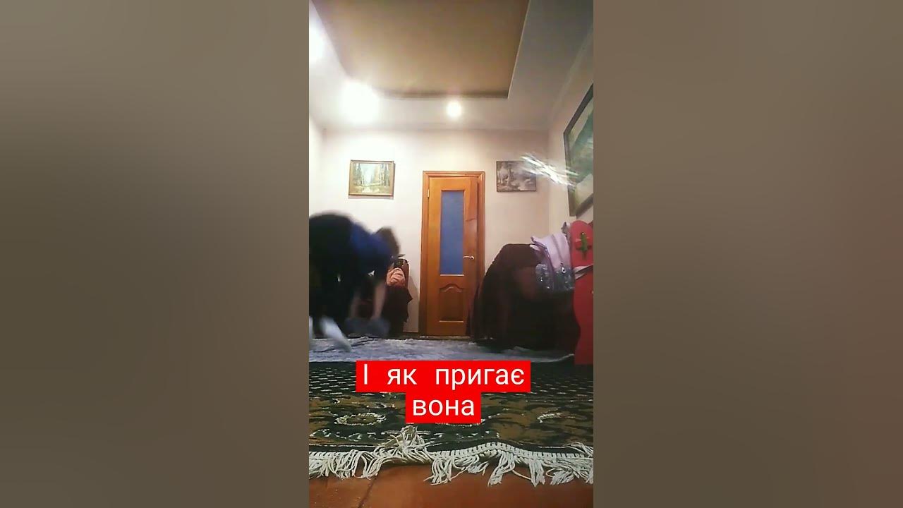 #квадробіка - YouTube