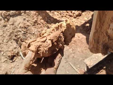 شاهد شكل صلصال احمر الذي خرج في عمق 130 متر حفر بئر ارتوازي