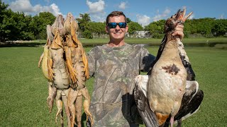 Invasive DUCK, GOOSE, \& IGUANA! Catch Clean Cook