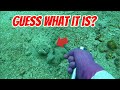 The daily work of fishermen harvesting seafood from the seabed | Aqua Quest #diving #dive #coast