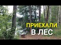 VLOG: 3 дня в одном видео / Насыщенные выходные / Собираем чернику