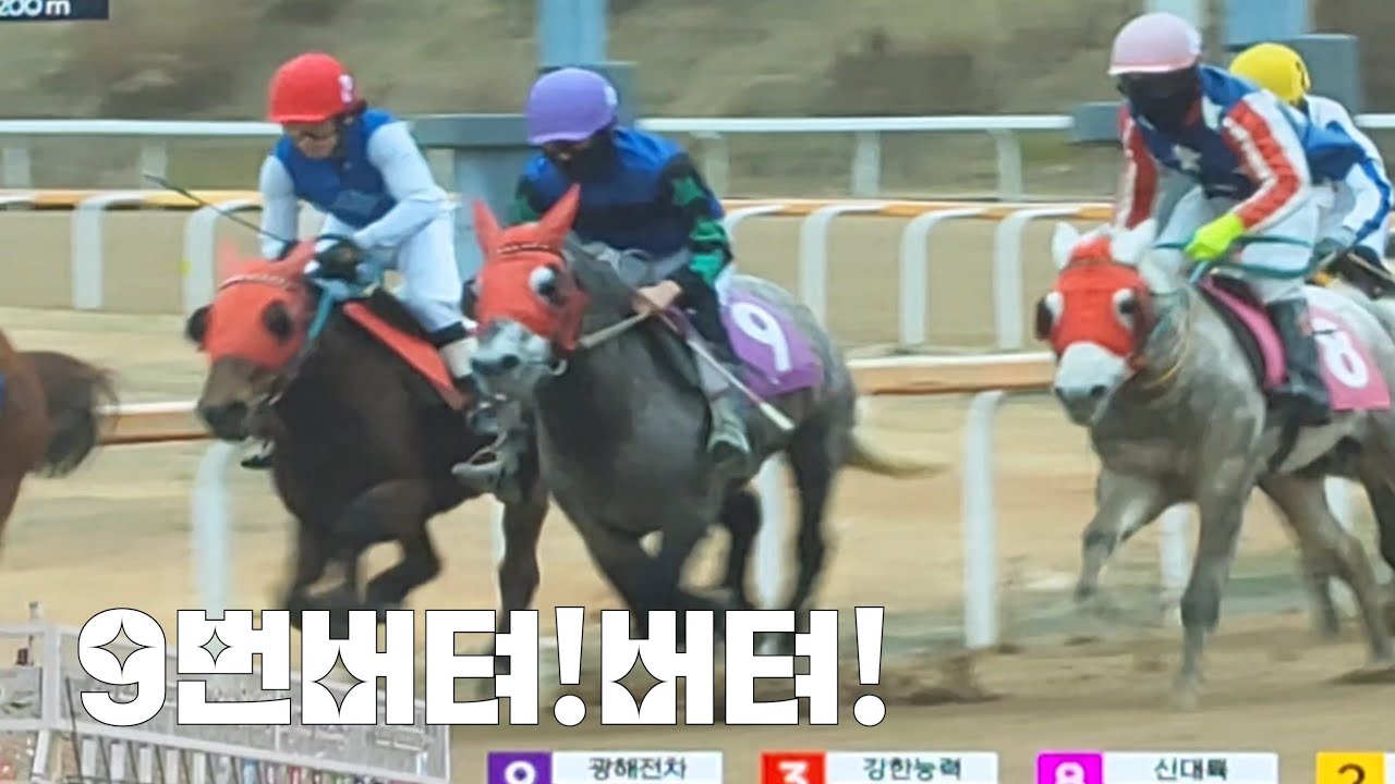 경마 돌돌말이배팅! 헛갈리면 다걸어 버립니다!(제주경마 하이라이트)