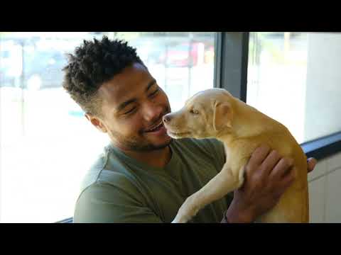 This year for #RememberMeThursday on September 22, we remember the orphan pet lives lost to euthanasia and inspire others to #SeeTheLight for pet adoption. This event takes place every year on the fourth Thursday in September on social media and is celebrated by over 190 countries from all over the world!

As our official spokesperson, Jasmine Tookes is helping us spread the message by sharing her history of pet adoption and her love for rescue pets