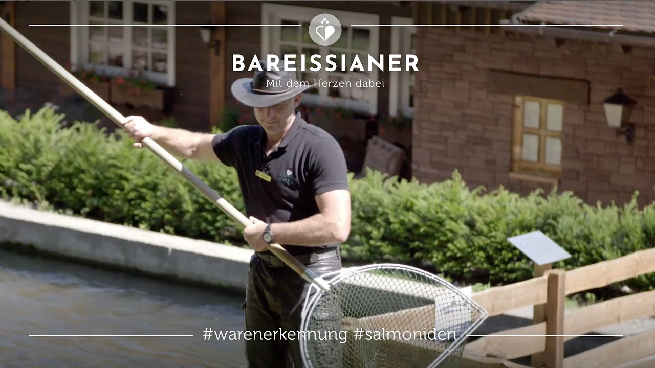 Salmoniden Warenerkennung mit Fischwirt Richard Eifler