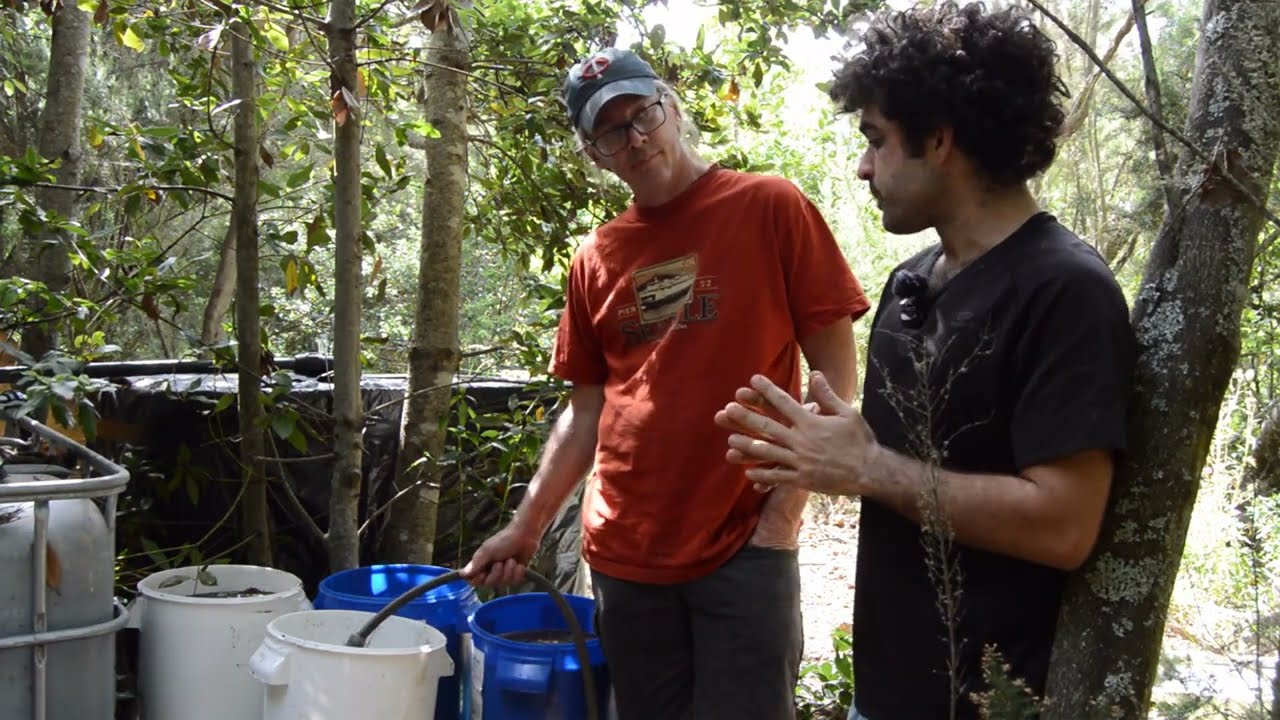 Como hacer  FERTILIZANTE con ALGAS MARINAS de forma sencilla (parte 2).