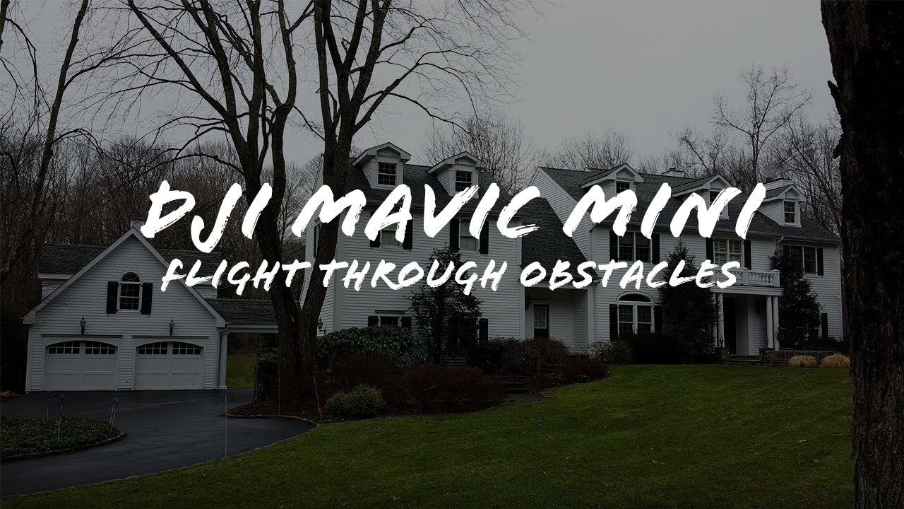 DJI Mavic Mini Avoiding Obstacles (Unedited)