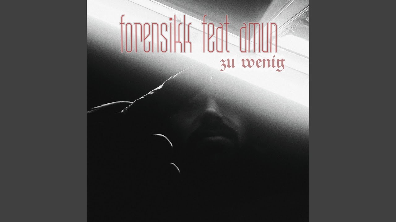 Zu wenig (feat. Amun)