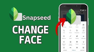 How to Change Face in Snapseed 2024?